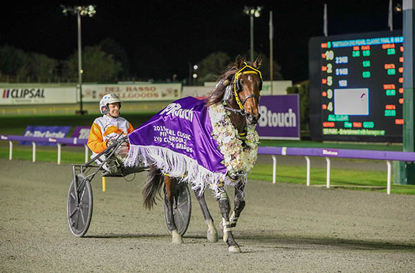 Manning Garland & Rug