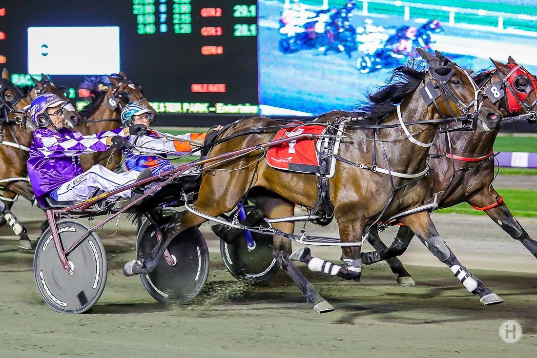 American Bullit 12032021