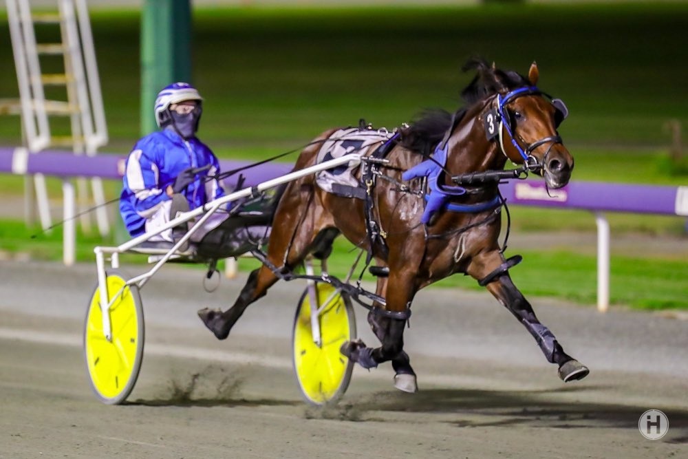 Griffin Lodge 26032021