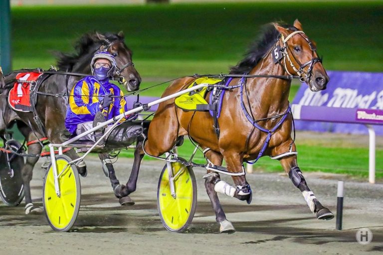 Texas Tiger 12032021