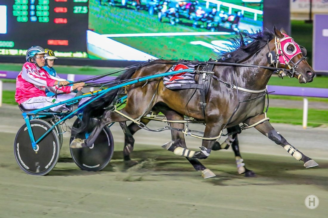 Thomson Bay 12032021