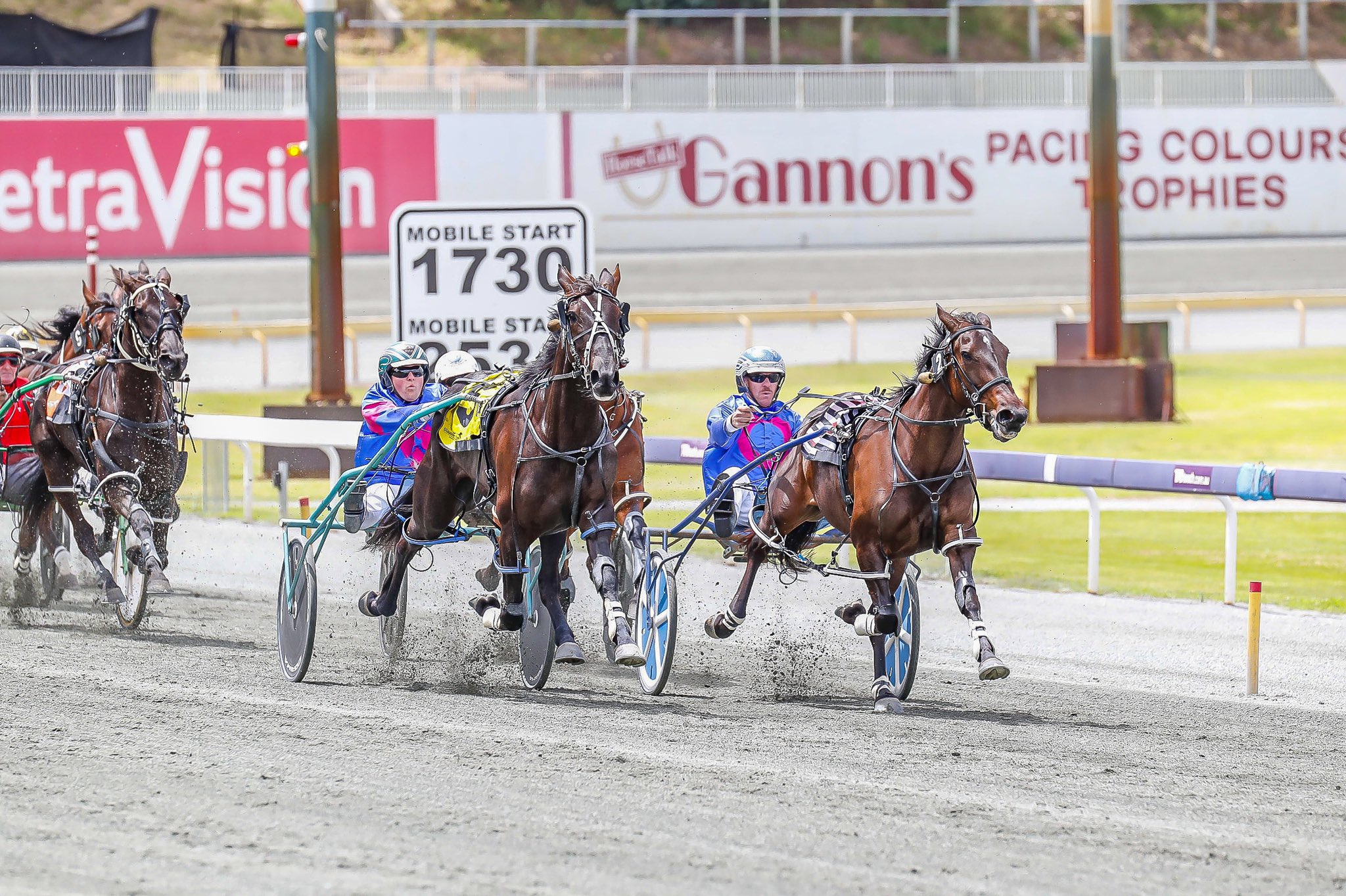 Wainui Creek 13112020