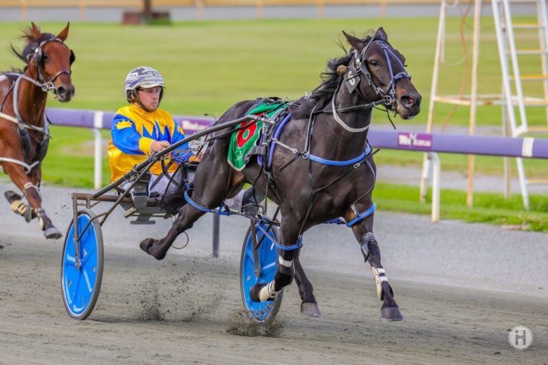 Rock On Top 16042021