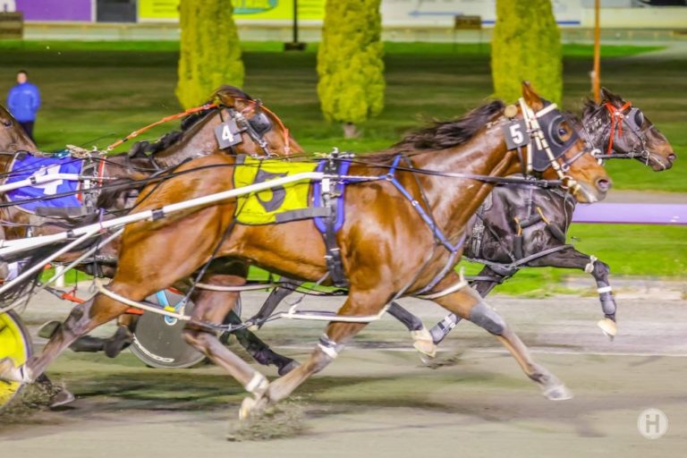 Whozideawasthis 16042021