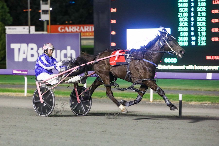 Born To Boogie 28052021