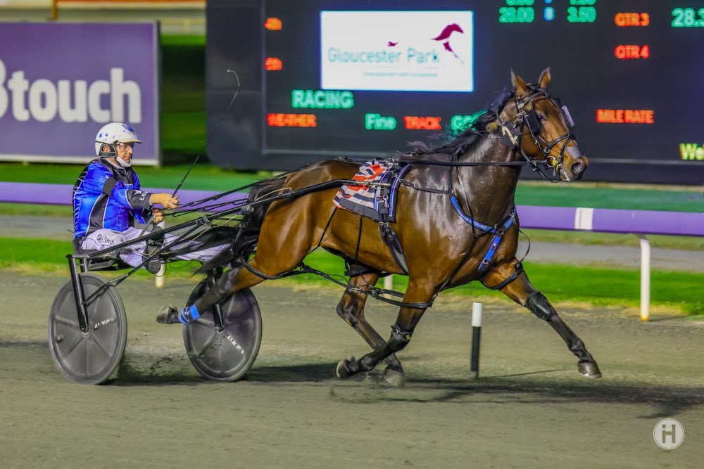 Hampton Banner 7052021