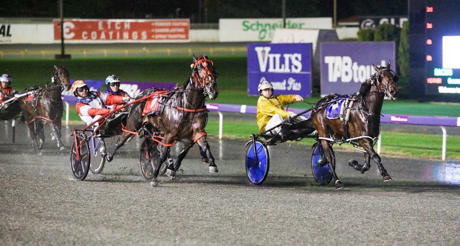 Im Beta Than Gouda 28052021