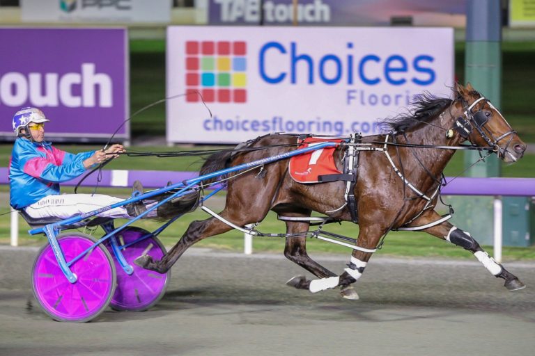 Jaspervellabeach Slipper Winner