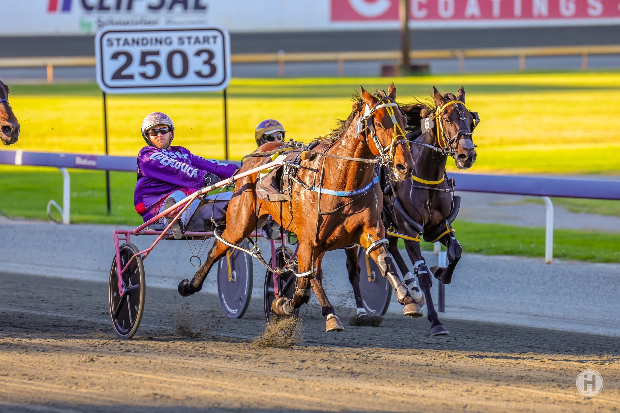 Perfect Major 9042021