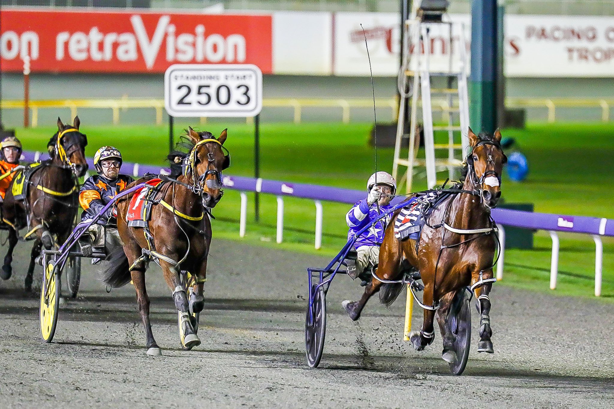 Star of Diamonds 17072020