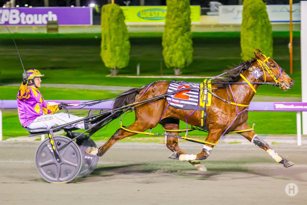 Tricky Miki – Golden Slipper 110721