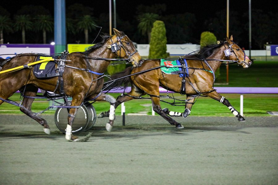 Just Makemine Diamonds