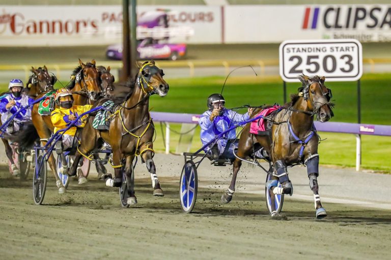 Minstrel vs Magnificent Storm