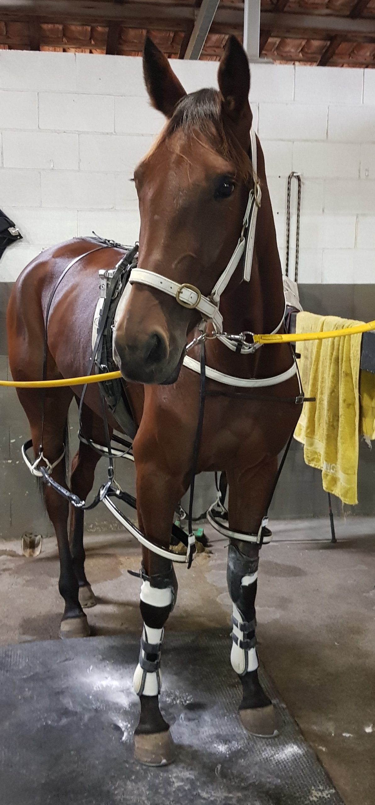 Wonderful To Fly 150422