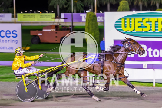 Angel In White 240622