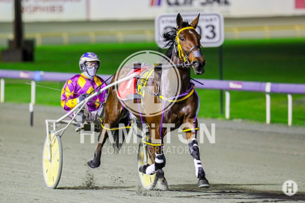 Platinum Sparkle 240622