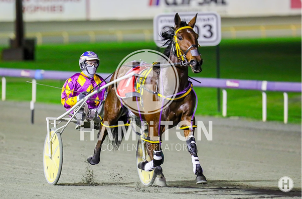 Platinum Sparkle 240622