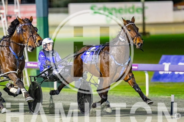 Hampton Banner 260822