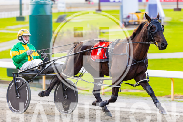 Pocket The Cash 290722