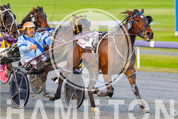 Blazing Beauty 130922