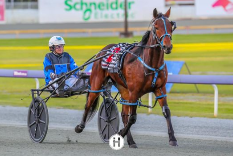 Goodfellaz – C Lewis 300822