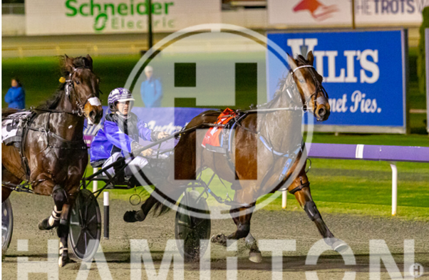 Hampton Banner J Young 160922