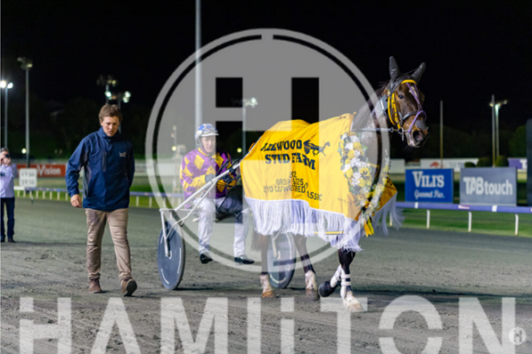 Never Ending 2 160922