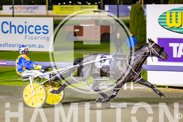 The Black Flash 090922