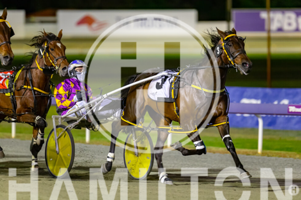 Western Arterra 281022