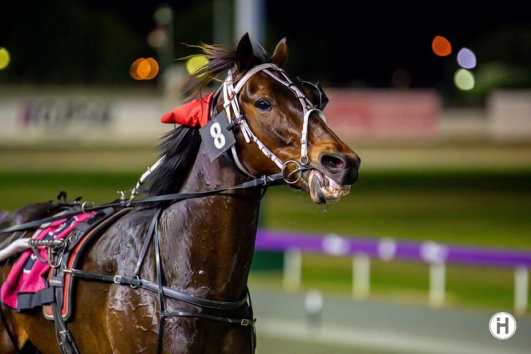 Firerockfireroll 111122