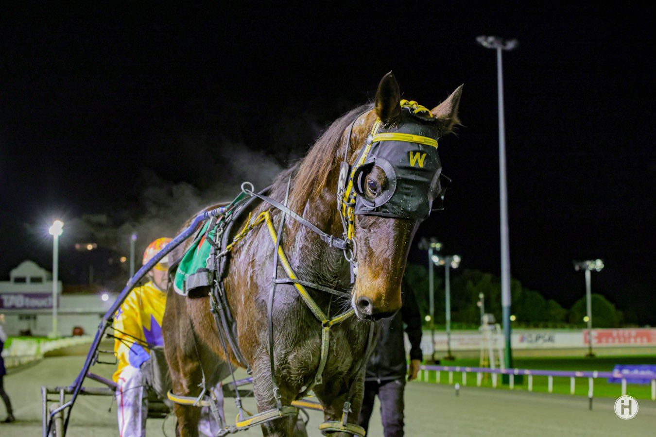 Magnificent Storm 150722