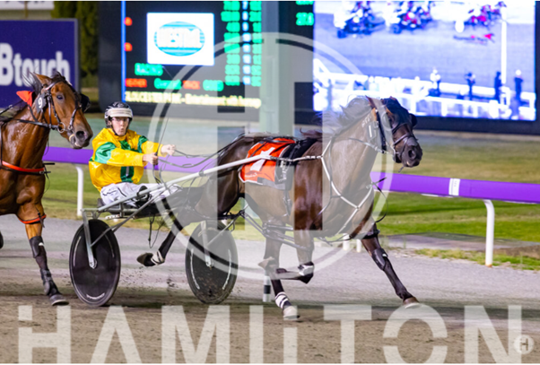 Miss Limelight 2 251122