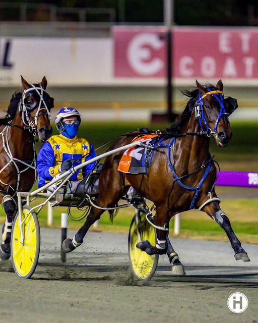 Prince of Pleasure 251122