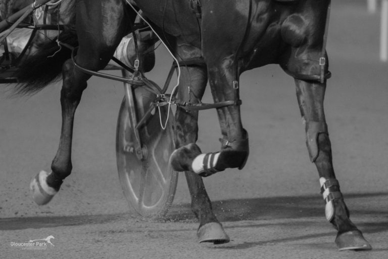 20171027-GENERIC LEGS