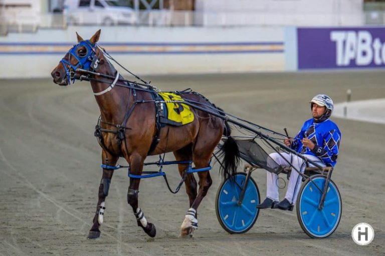 Rockstar Rebel 091222