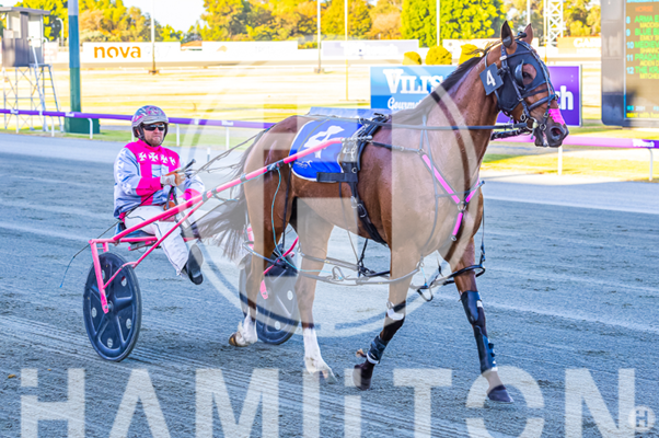 Sangue Reale – C Voak 301222