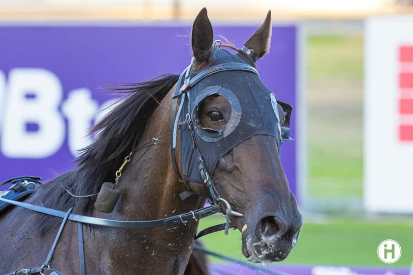 Glenledi Chief 240223