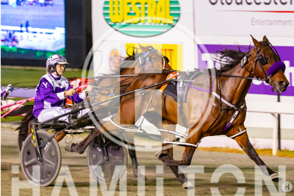 The Amber Hare 1 281023