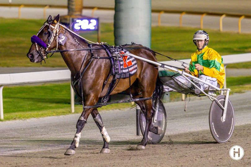 Valentines Brook 100223