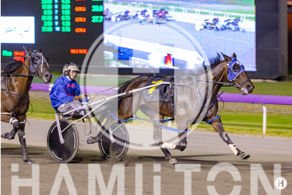 Aussie Scooter 100323