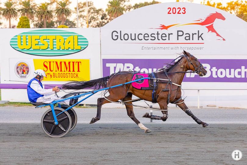 Classic Choice 170323