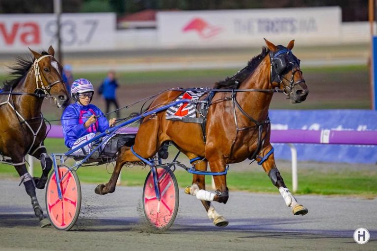 Dont Bother Me None 170323