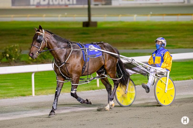 Hes Never Been Beta 170323