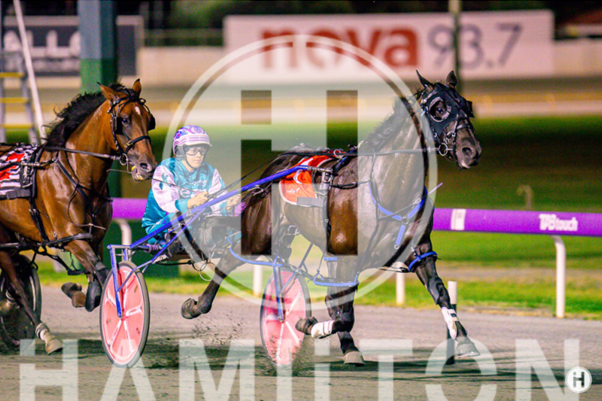 Steel The Show 30323