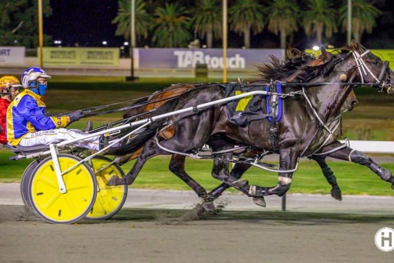 The Black Flash 100323