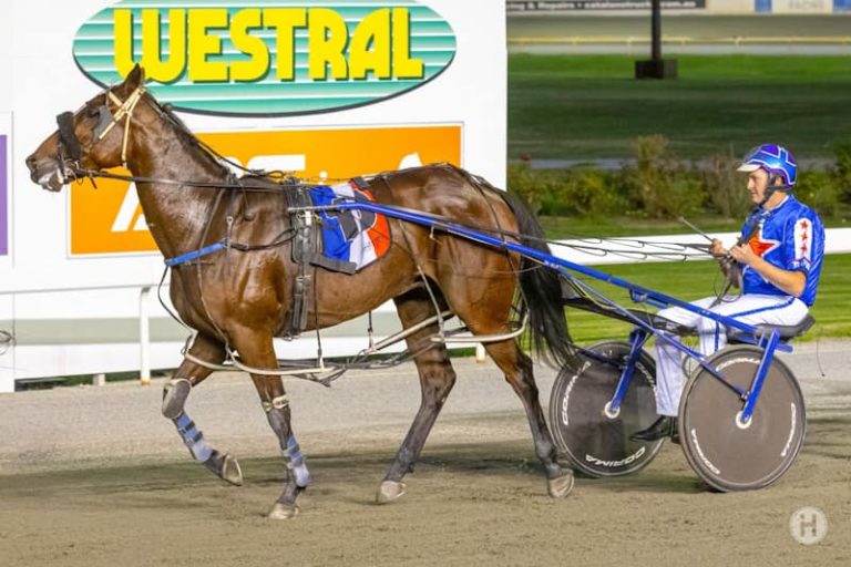 Ima Fivestar General 240123