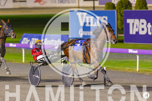 Talks Up A Storm 140423