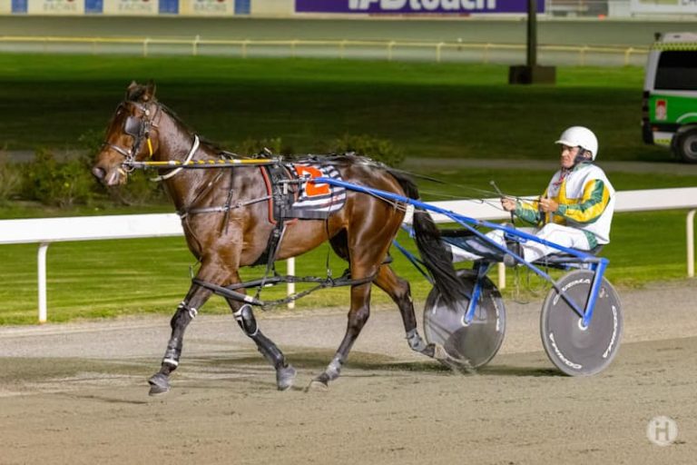 Xceptional Arma 210423