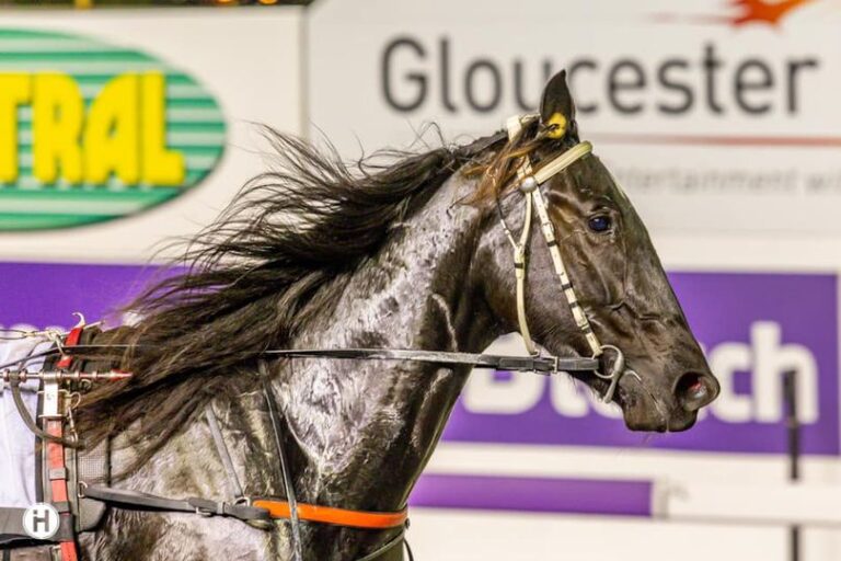 Bazaar Package 120523