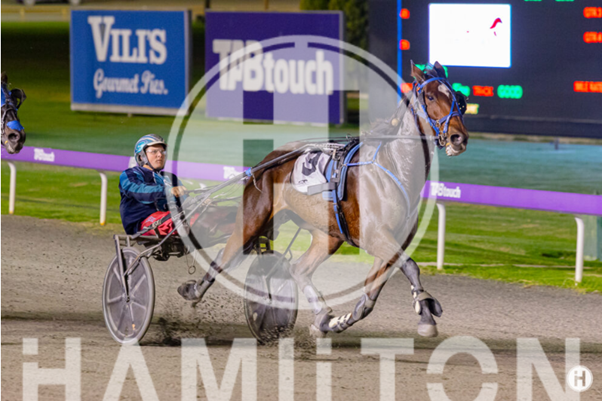 Line The Starzzz 120523